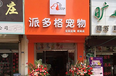 禹州市派多格宠物店-派多格宠物店狗狗价格