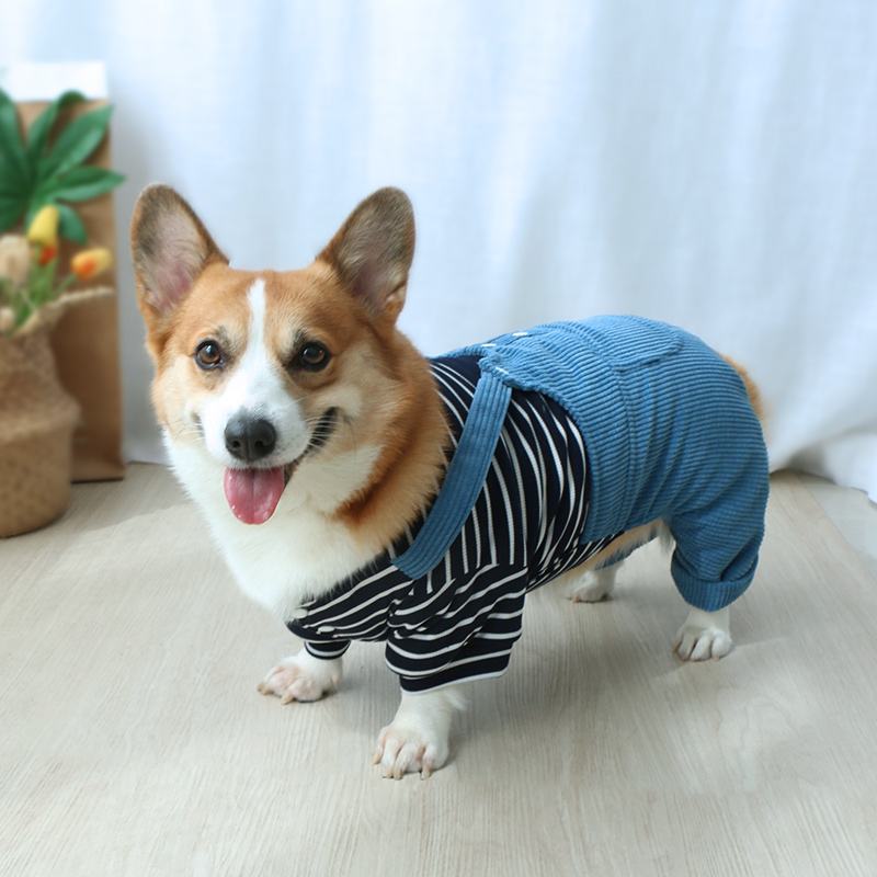 宠物犬服装-宠物犬服装制作前体尺测量需要测 指标