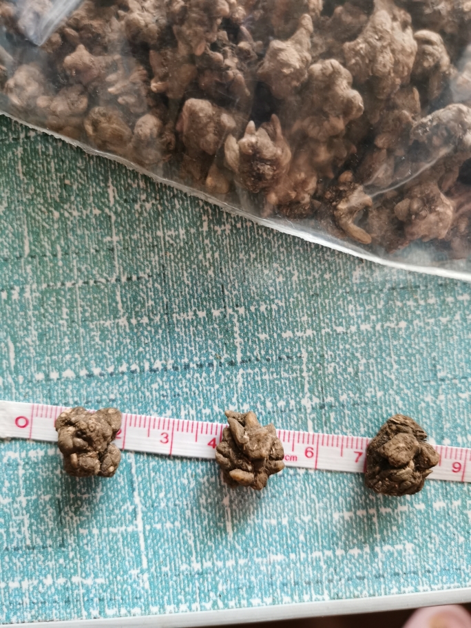 猫爪草有毒吗-猫爪草有毒吗对甲状腺结节有效果吗