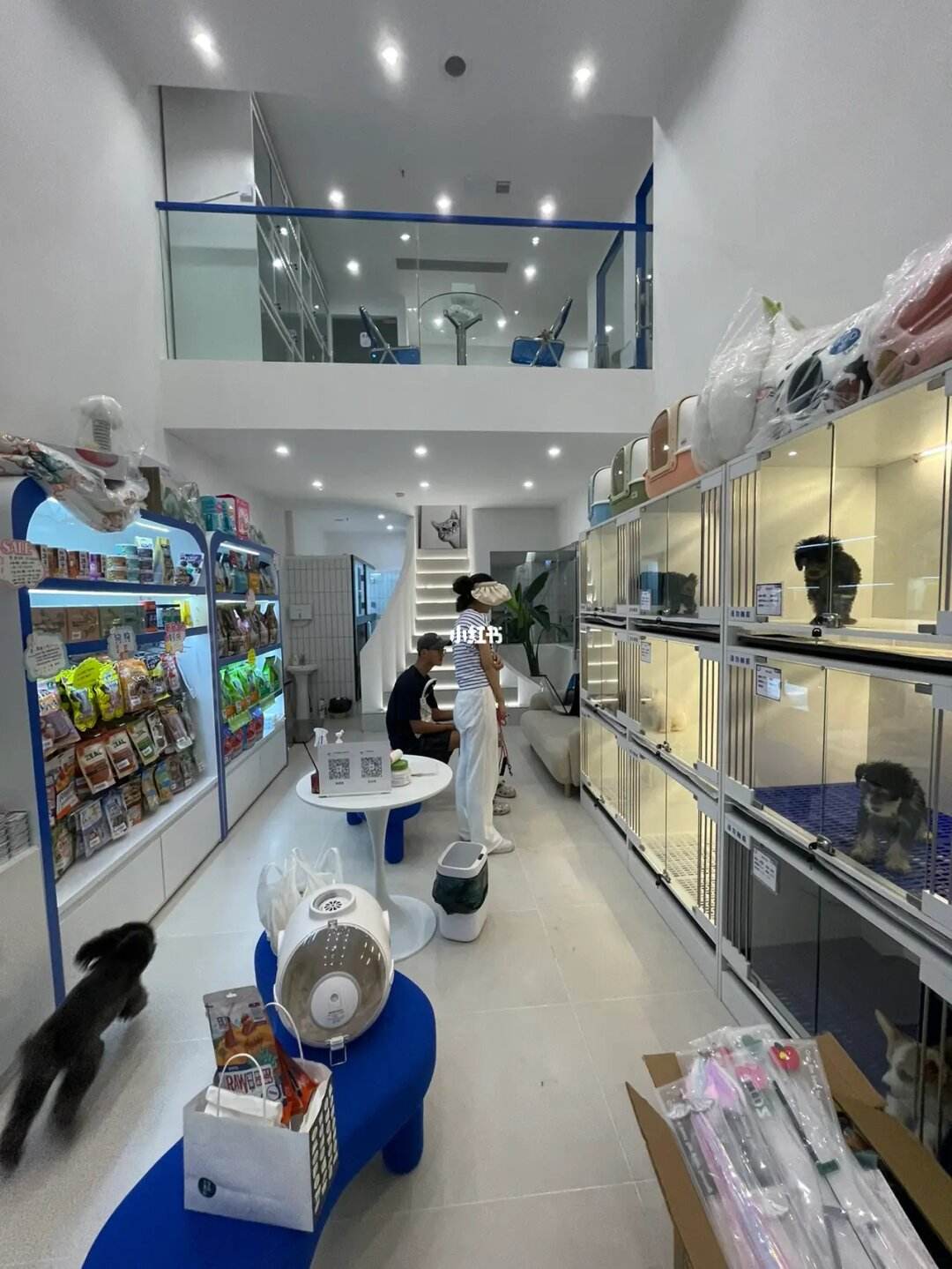 最近宠物美容店-最近宠物美容店怎么样