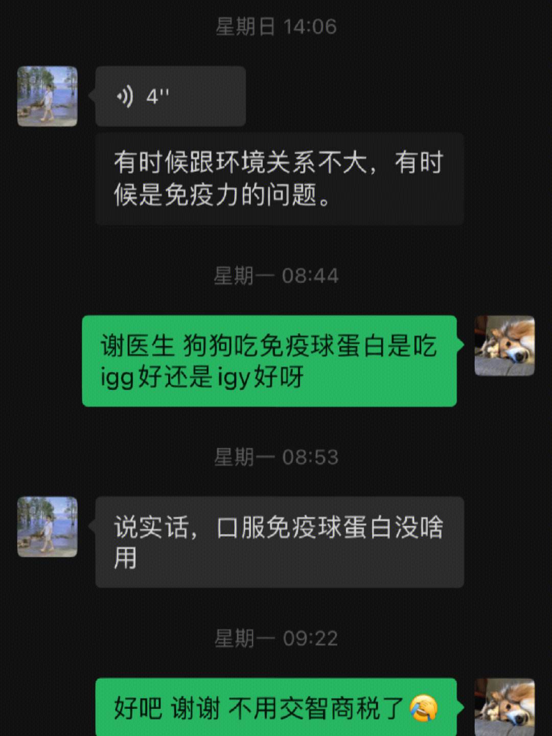 宠物狗医生的软件-免费咨询宠物医生软件