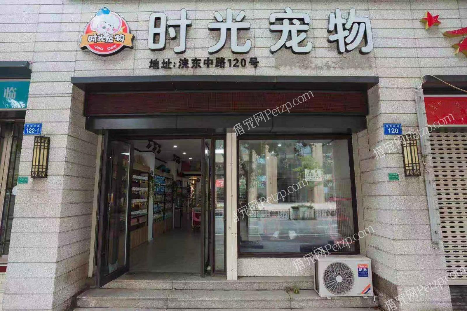 厦门卖宠物店-厦门卖宠物店哪里最多