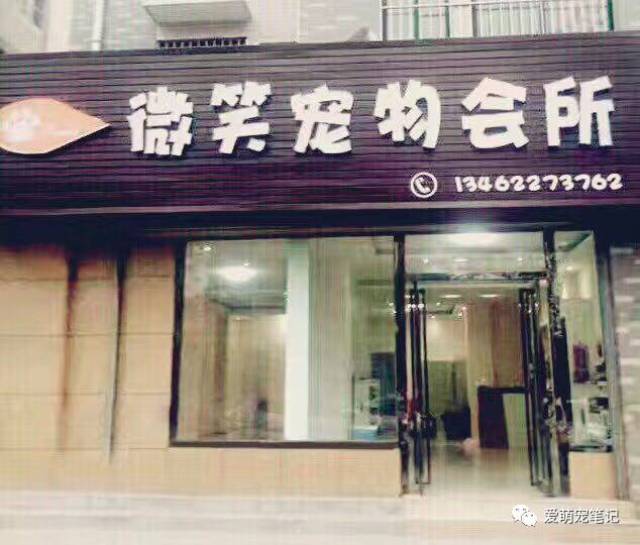 可以投诉宠物店吗-可以投诉宠物店吗知乎