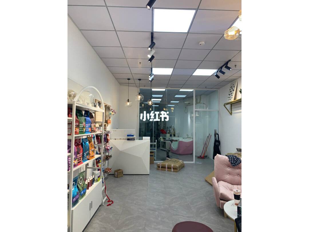 宠物店交流-宠物店新模式