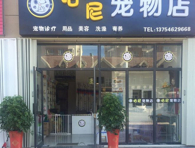 北京最好的宠物店-北京哪个宠物店最好