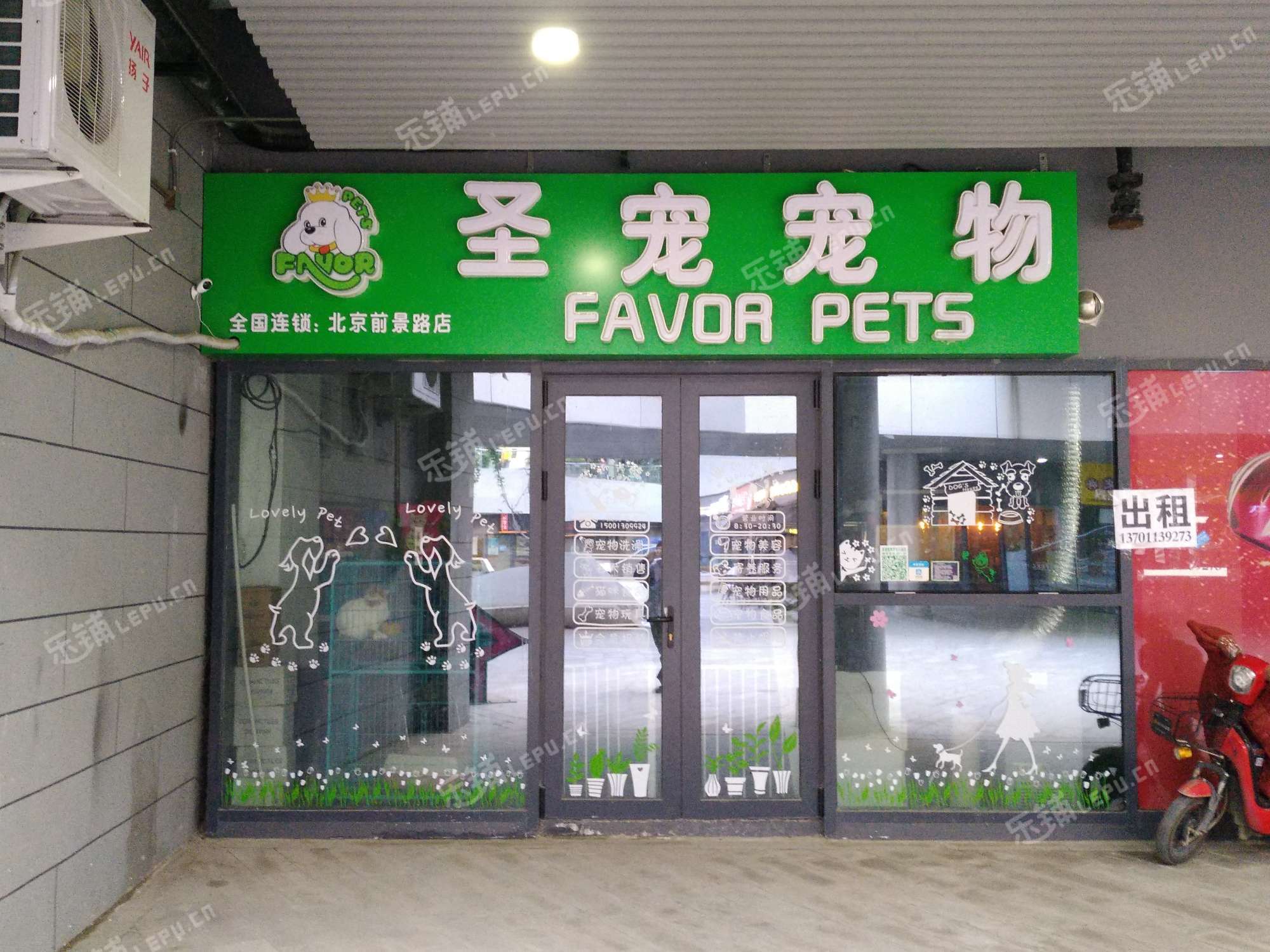 北京最好的宠物店-北京哪个宠物店最好