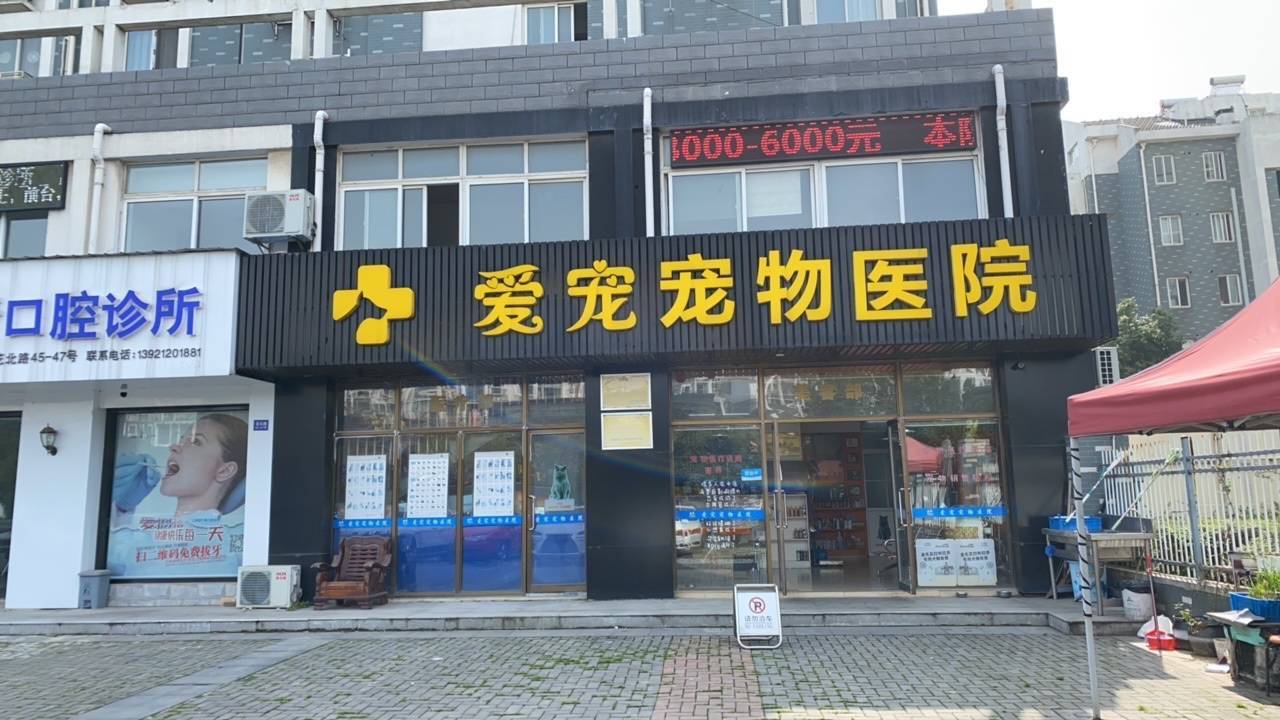 兰州宠物美容店-兰州宠物美容店地址