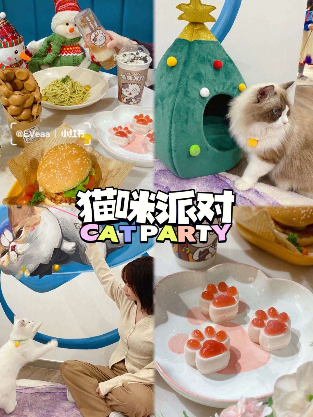 宠物猫餐厅-宠物餐厅摊主