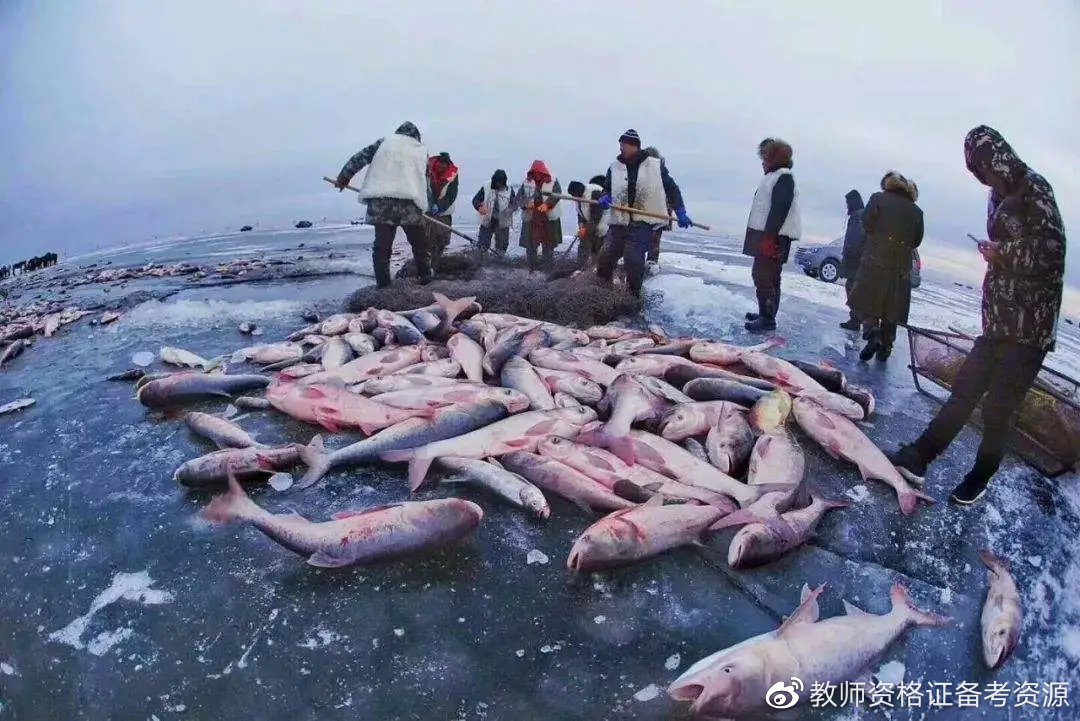 拉布拉多寒流-拉布拉多寒流为大西洋亚寒带环流圈的组成部分