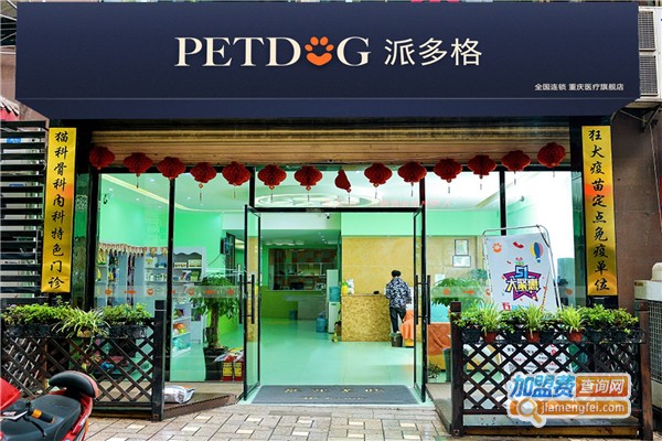 天津派多格宠物店-天津派多格宠物美容学校