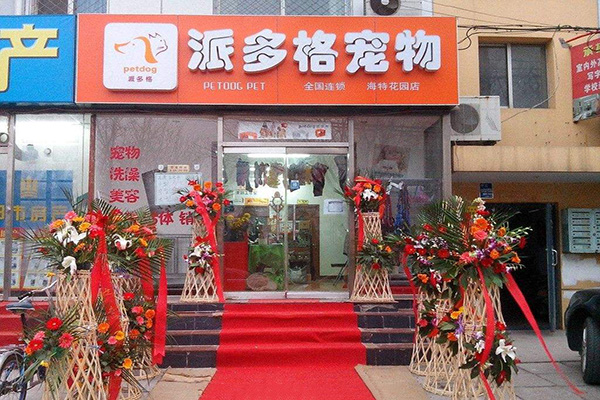 济南派多格宠物店-济南派多格宠物店在哪里