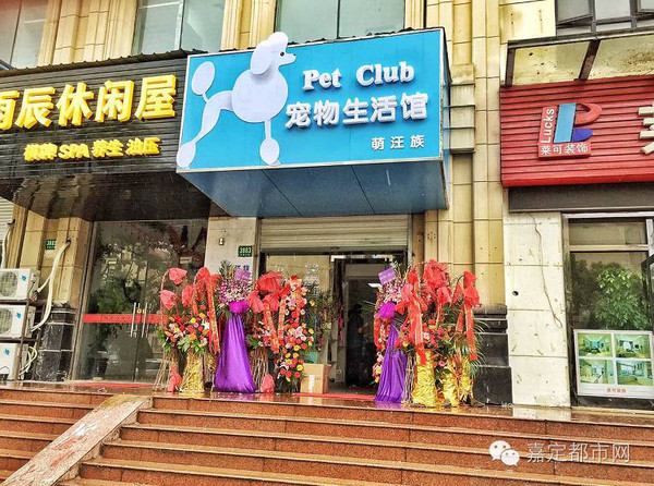 宠物店卖宠物多少价格-宠物店卖宠物多少价格合理