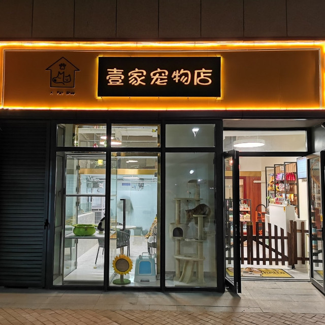 济南宠物店卖宠物吗-济南哪里有卖宠物的宠物市场