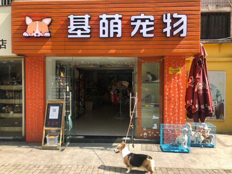 上海最大在线宠物店-上海大型宠物店