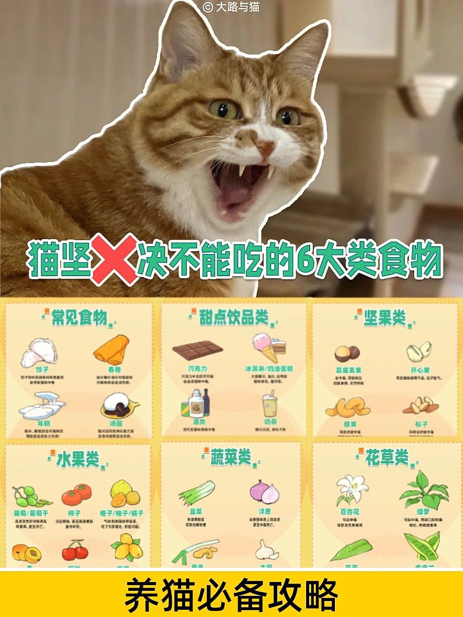 猫咪可以吃-猫咪可以吃什么水果