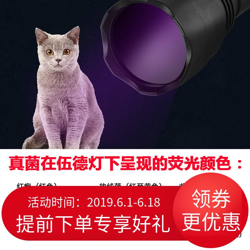 宠物伍德氏灯-伍德氏灯检查对照表犬猫