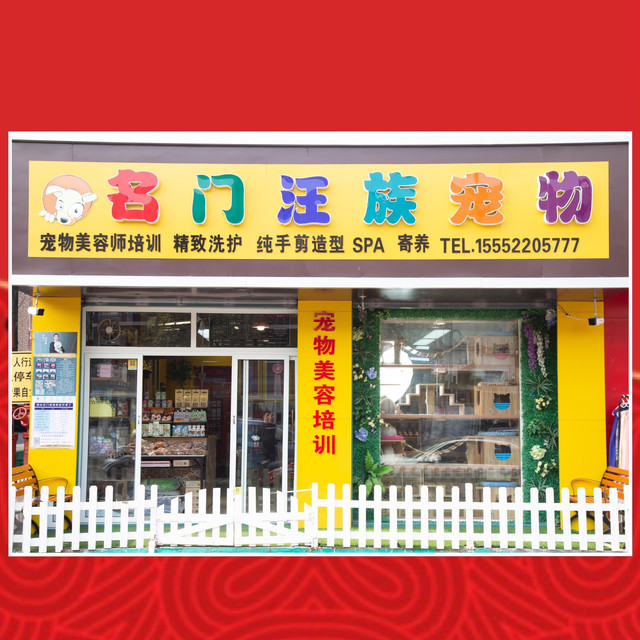 烟台大型宠物店-烟台最大的宠物市场在哪里