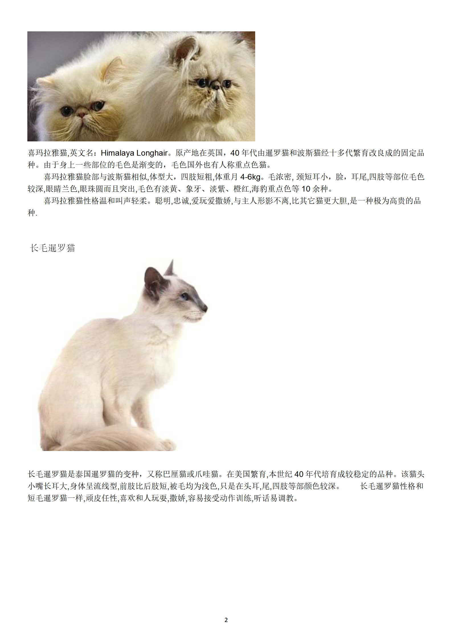 宠物猫的种类-宠物猫的种类图片及名称