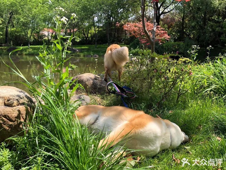 上海长宁区宠物市场-长宁区宠物医院24小时营业