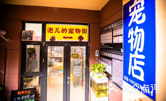 南山宠物街在那-南山区的正规宠物店在哪里