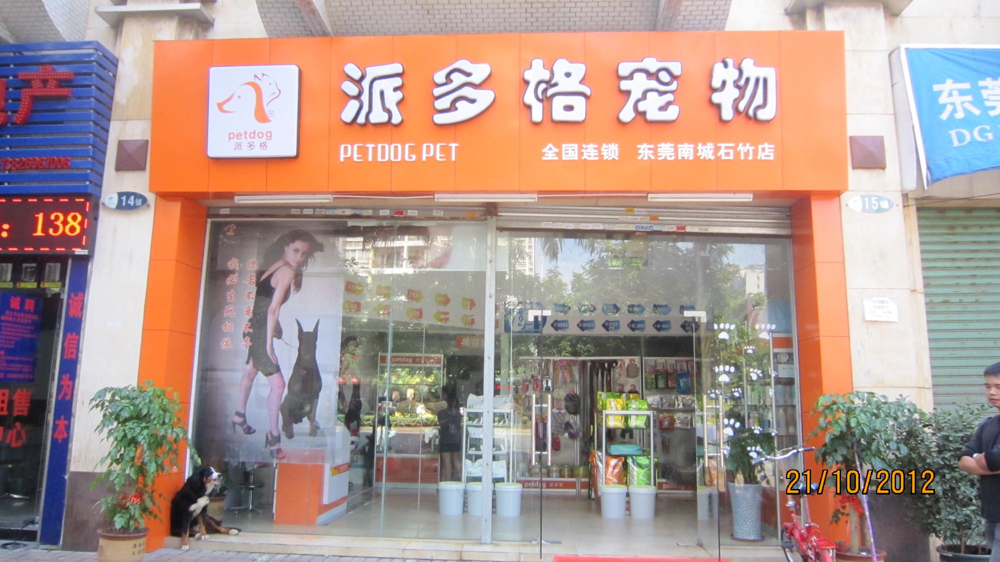 金华派多格宠物店-金华派多格宠物店在哪里