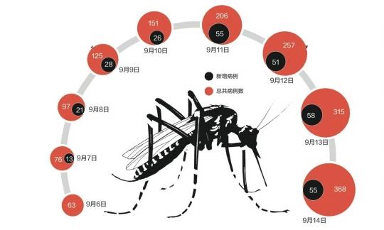 宠物病例报告-宠物病例报告糖尿病