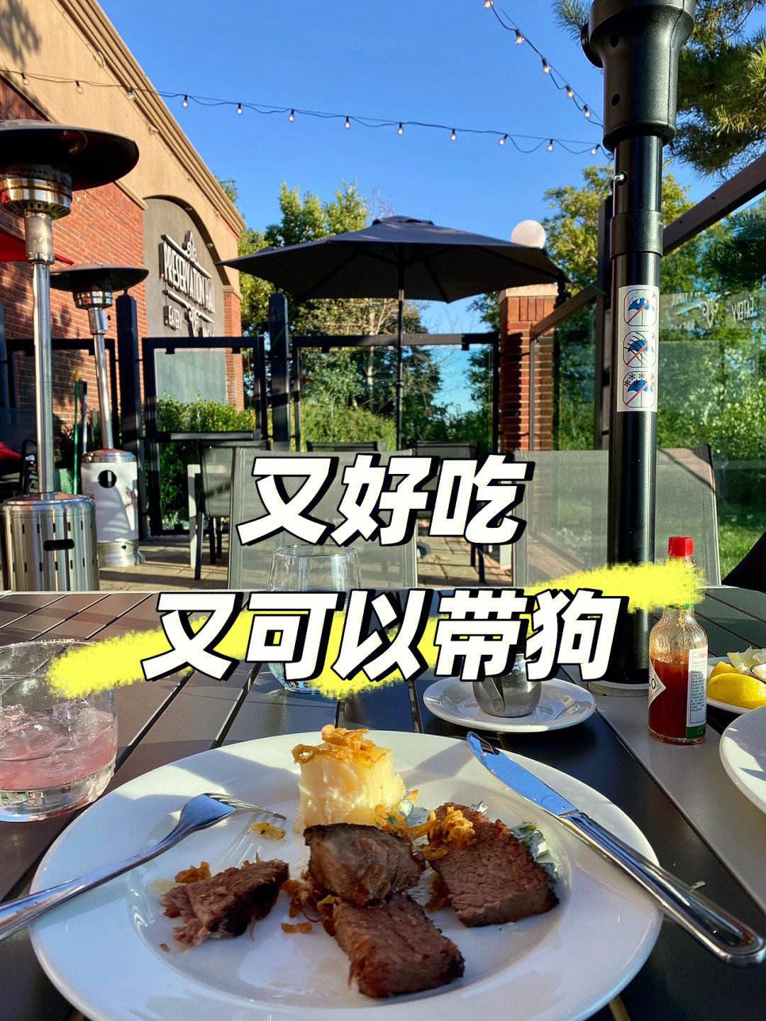 餐厅带宠物-餐厅带宠物狗被其他客人给了差评怎么回复