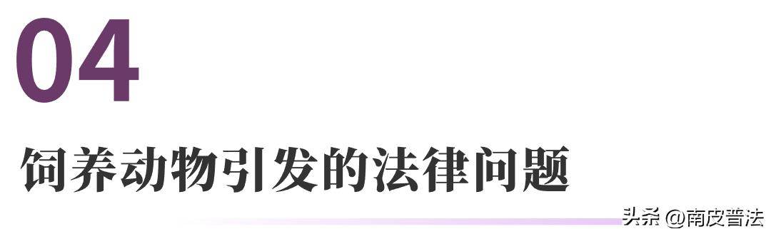 宠物店营业执照办理流程-宠物店营业执照需要什么证件