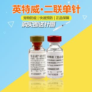 宠物预防针多少钱一针-2020宠物疫苗收费标准