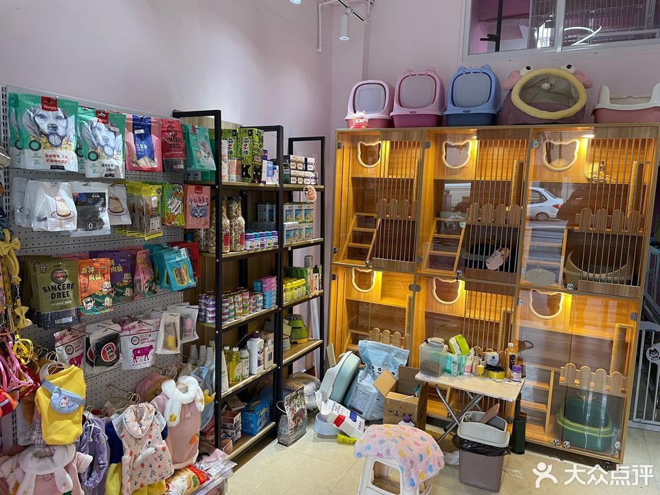 在宠物店买宠物用品-在宠物店买宠物需要注意什么