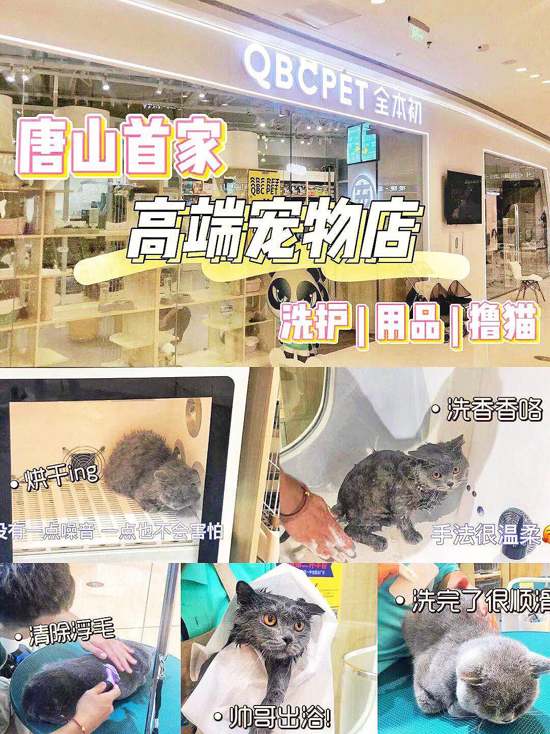 在宠物店买宠物用品-在宠物店买宠物需要注意什么