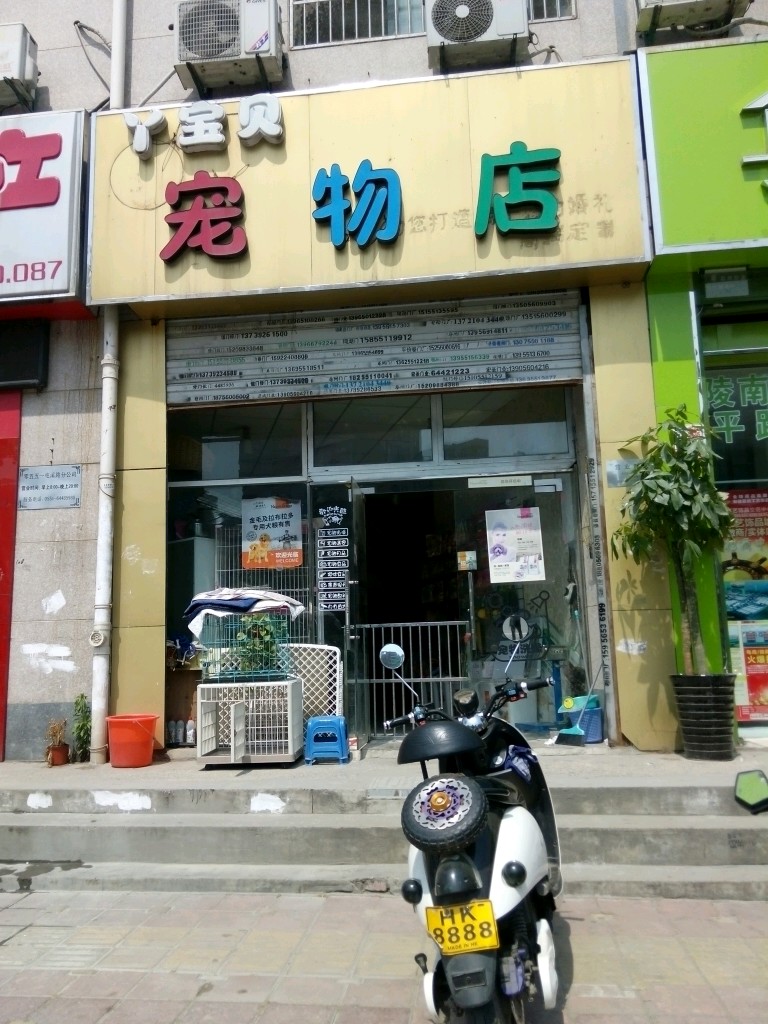 卖宠物的店-卖宠物的店在灵溪哪个位置