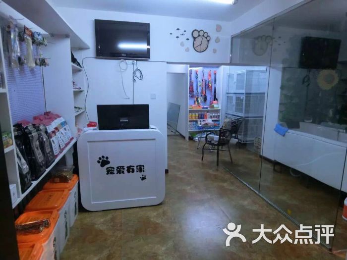 铜仁哪里有宠物店-铜仁哪里有宠物店铺