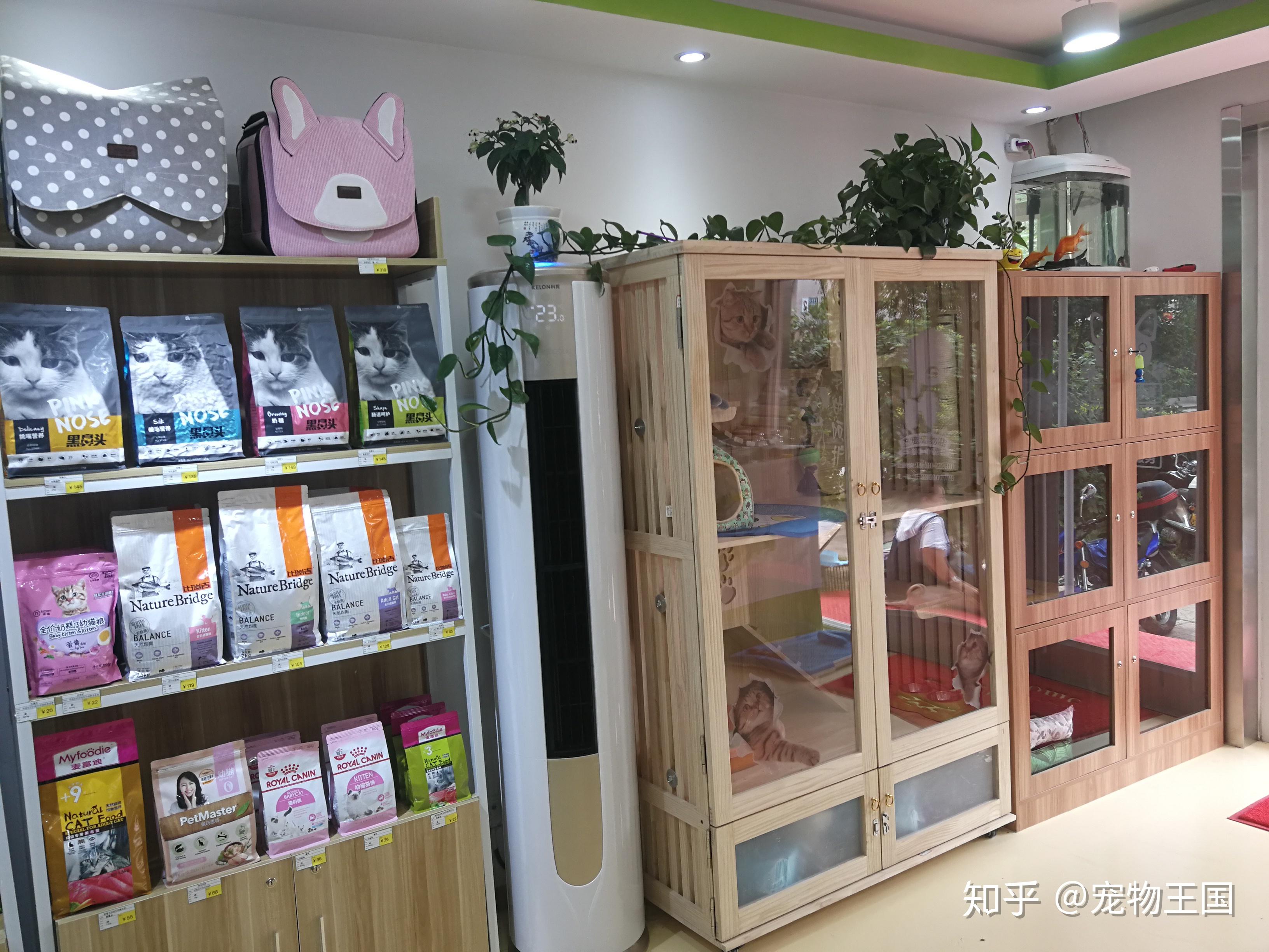 现在宠物店的前景如何-现在宠物店的前景如何真实一点