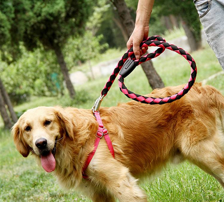 宠物犬狗链-狗链条怎么绑