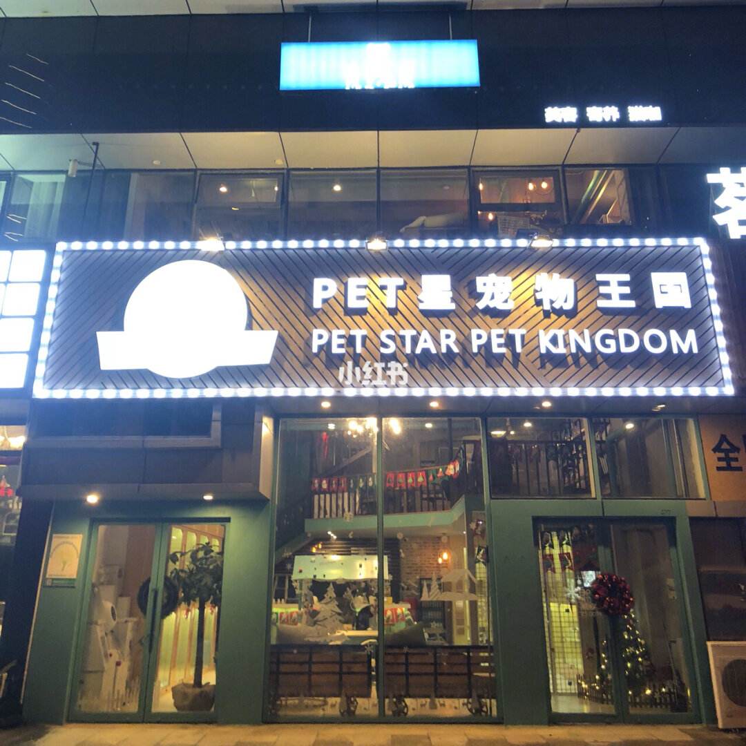 长沙宠物店哪家好-长沙宠物猫店哪个最好