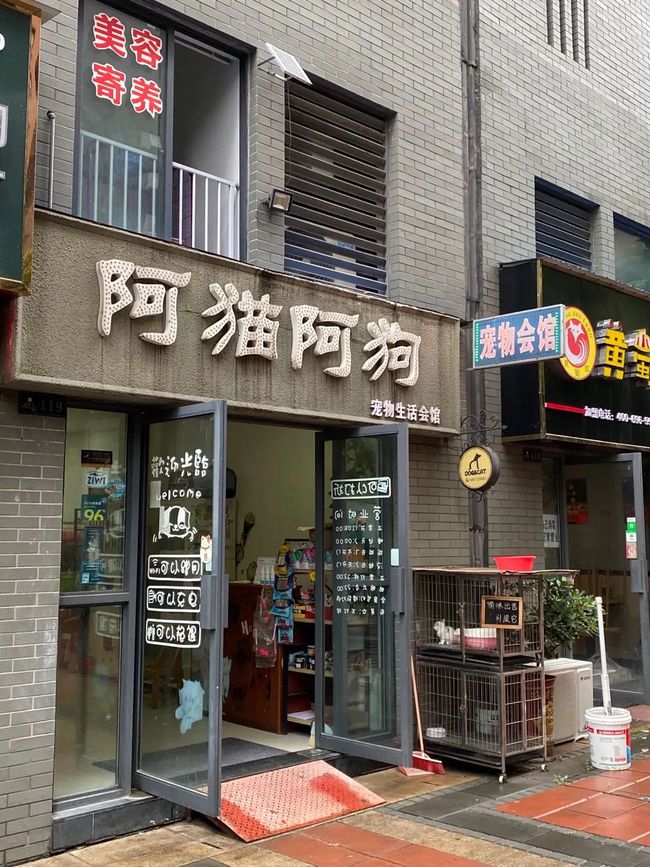 宠物店位置-宠物店位置偏怎么办