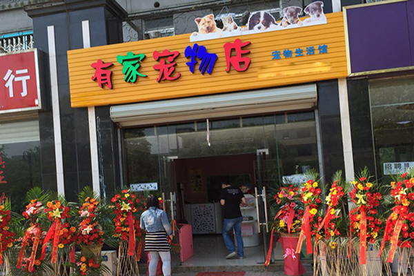 宠物店加盟靠谱吗-宠物店免费加盟连锁