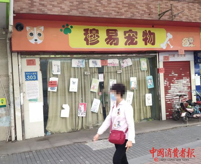 玉林市宠物店-玉林宠物店卖狗的在哪