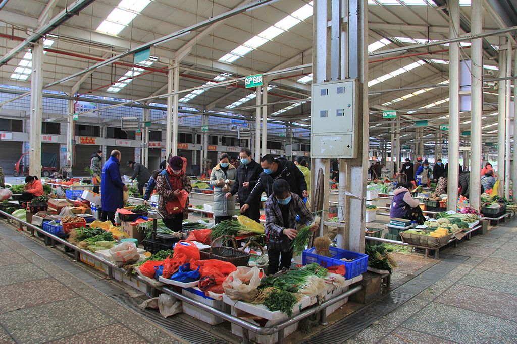 邵阳市宠物市场在哪里-邵阳市宠物市场赶集时间