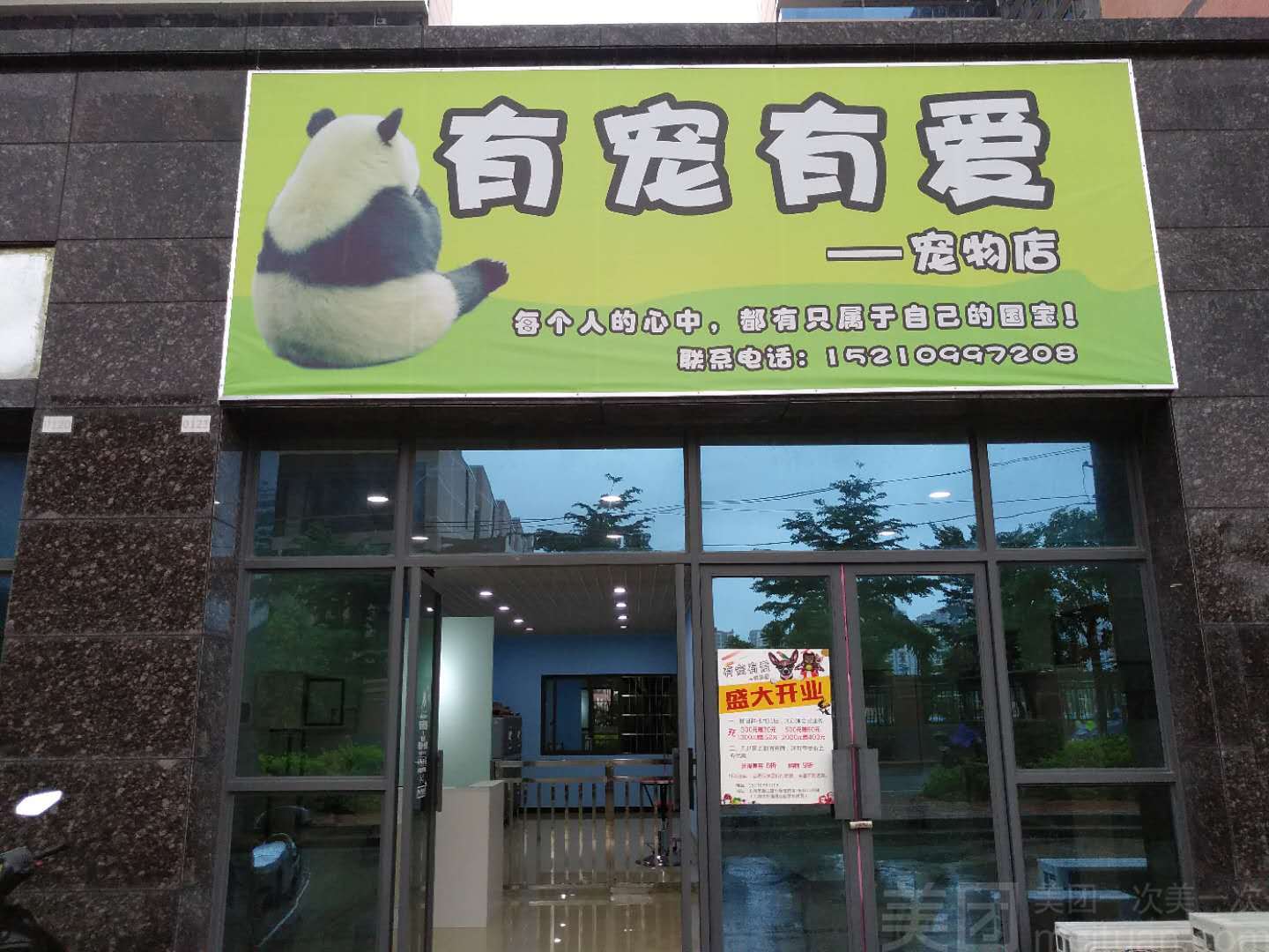 宠物店南阳-南阳卖猫的宠物店