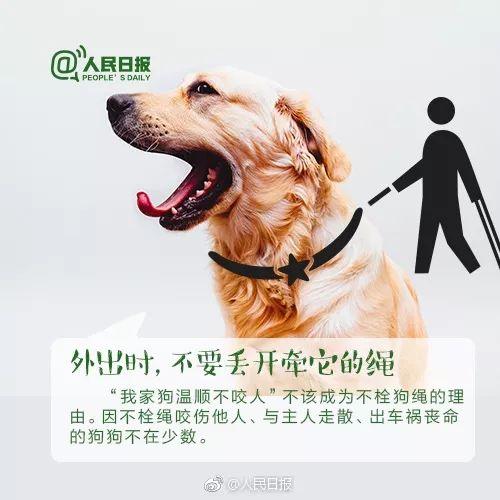 成都禁养犬-成都禁养犬举报电话