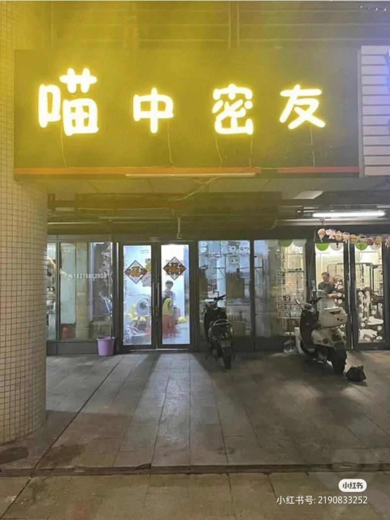 杭州黑心宠物店-杭州黑心宠物店在哪里