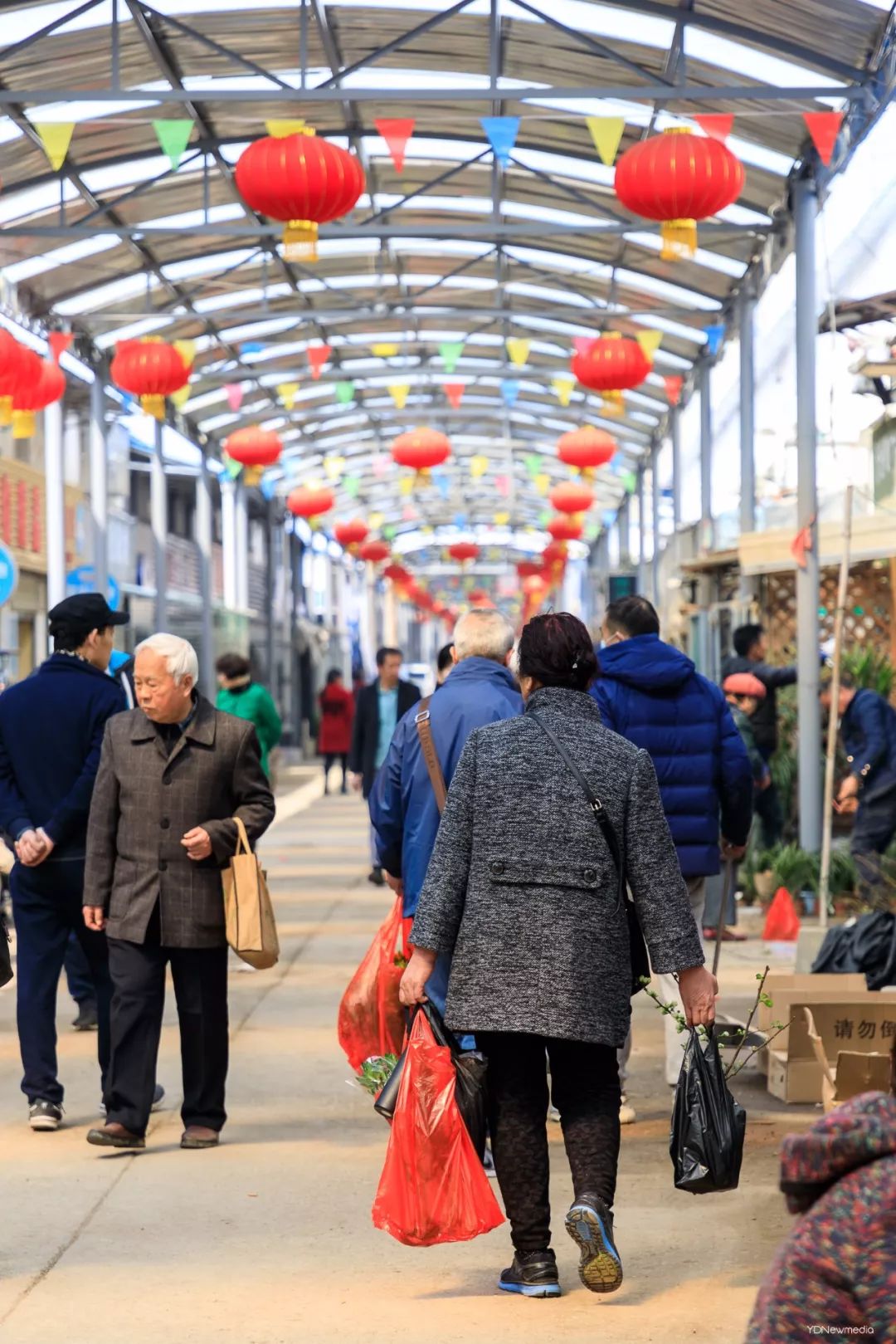 二桥宠物市场-双桥宠物交易市场