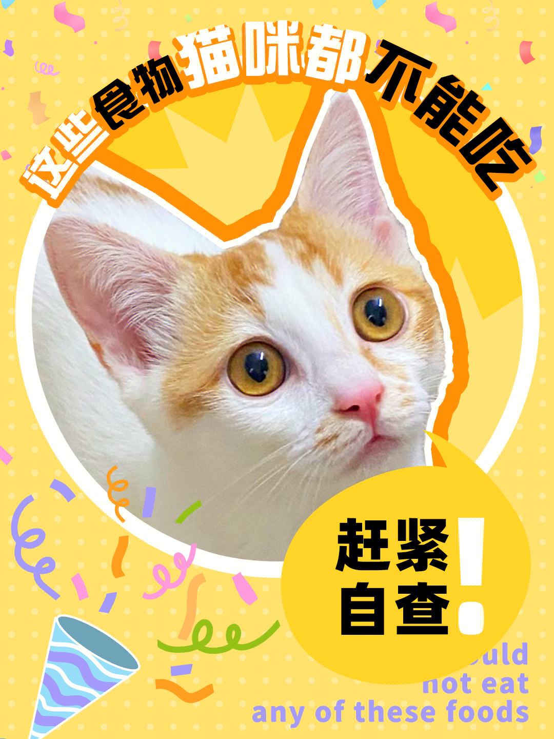 猫能吃韭菜吗-宠物猫可以吃韭菜吗