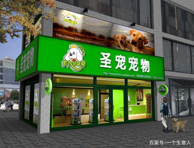 宠物店生意好做吗-宠物店到底挣不挣钱?