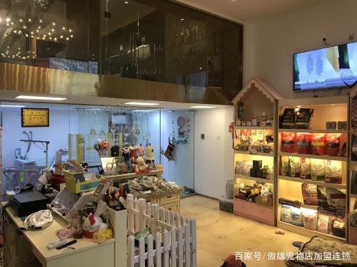 开宠物店的流程-开宠物店需要什么条件?什么技术?