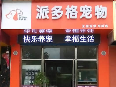 孝感派多格宠物店电话-孝感派多格宠物店电话号码