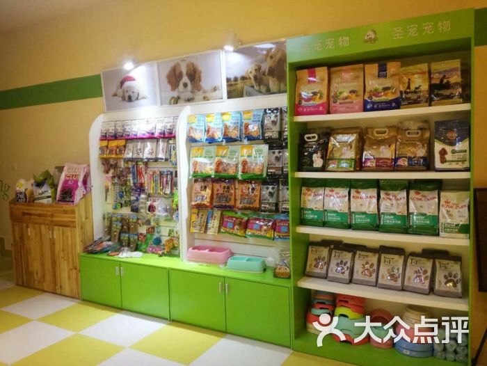 广州宠物店-广州宠物店工资一般多少钱一个月