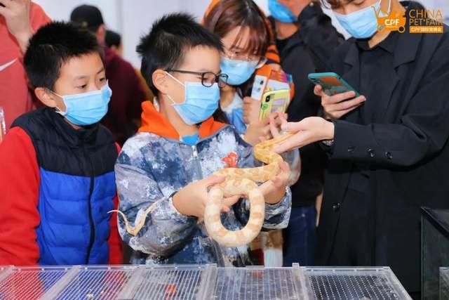 武汉最大的宠物市场-武汉最大的宠物市场在哪